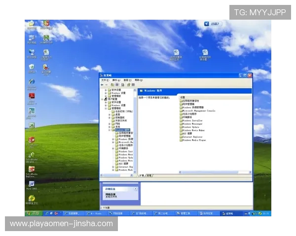 如何快速访问金沙官网下载页面获取官方最新版本